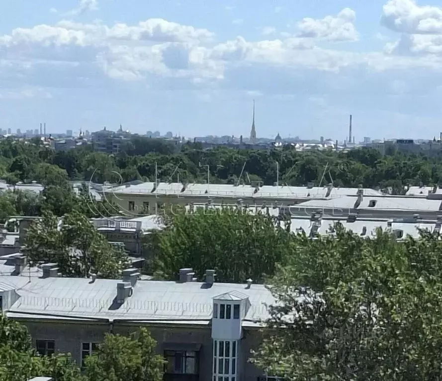 Студия Санкт-Петербург ул. Матроса Железняка, 2 (18.5 м) - Фото 1