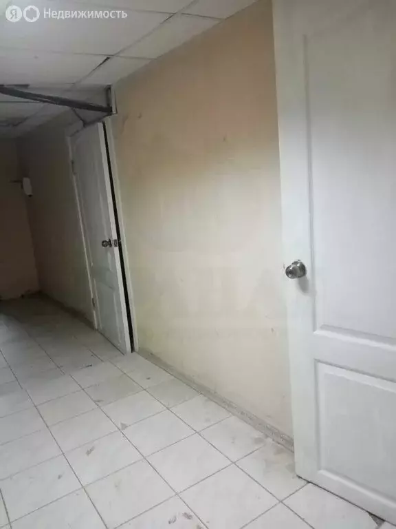 Помещение свободного назначения (55 м) - Фото 2