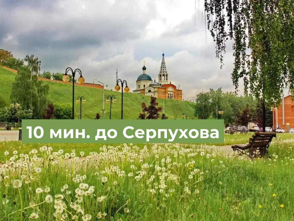 Участок в Московская область, Серпухов городской округ, д. Новики ул. ... - Фото 2