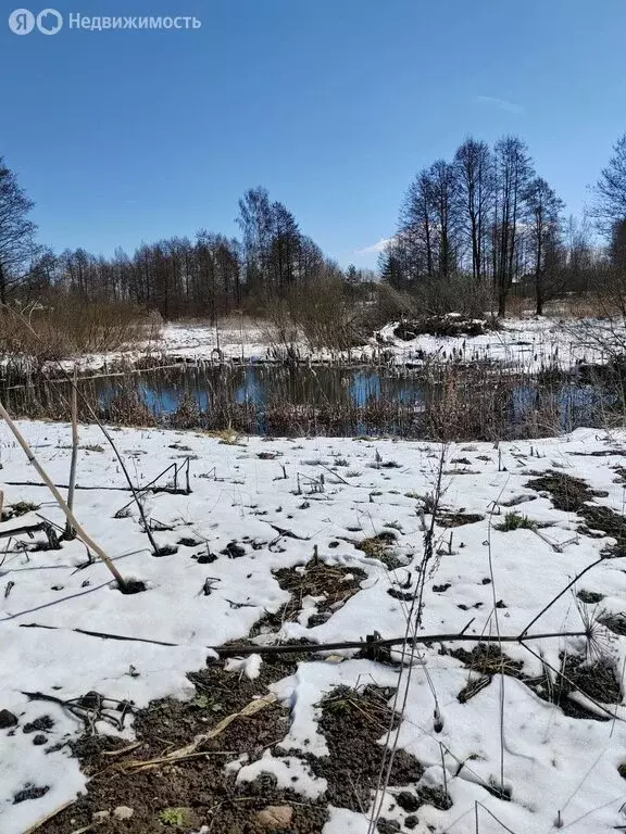 Участок в деревня Ручьи, улица Гаранина (30 м) - Фото 2