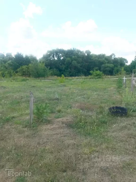 Участок в Тамбовская область, Знаменский муниципальный округ, Лесная ... - Фото 2