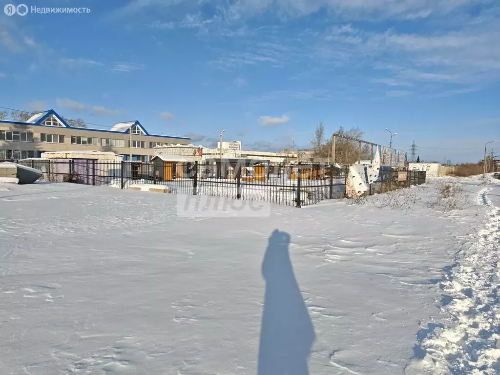 Офис (18.4 м) - Фото 2