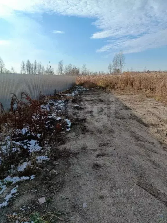 Участок в Тюменская область, Тюмень Садовое товарищество Липовый ... - Фото 0