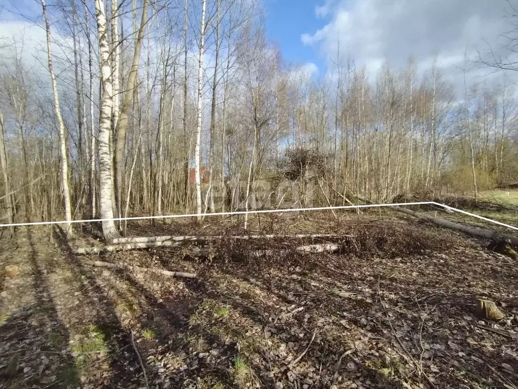 Участок в Вологодская область, Череповецкий район, Нова СНТ 409А (12.5 ... - Фото 1