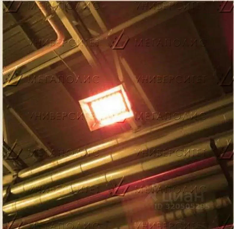 Производственное помещение в Московская область, Одинцовский городской ... - Фото 1