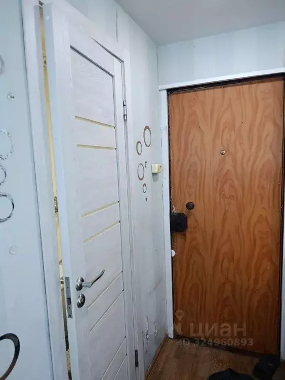 Студия Алтайский край, Барнаул ул. Георгия Исакова, 116а (16.0 м) - Фото 2