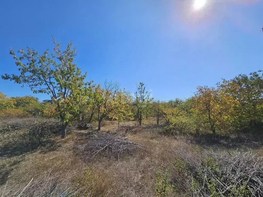 Участок в Крым, Симферопольский район, Урожайновское с/пос, ... - Фото 2