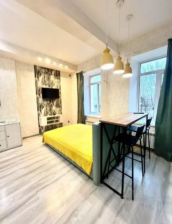 Студия Санкт-Петербург ул. Шкапина, 42 (25.0 м) - Фото 1