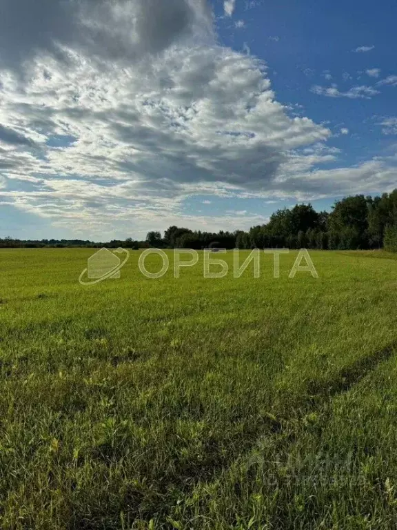 Участок в Тюменская область, Тюмень  (8.74 сот.) - Фото 1