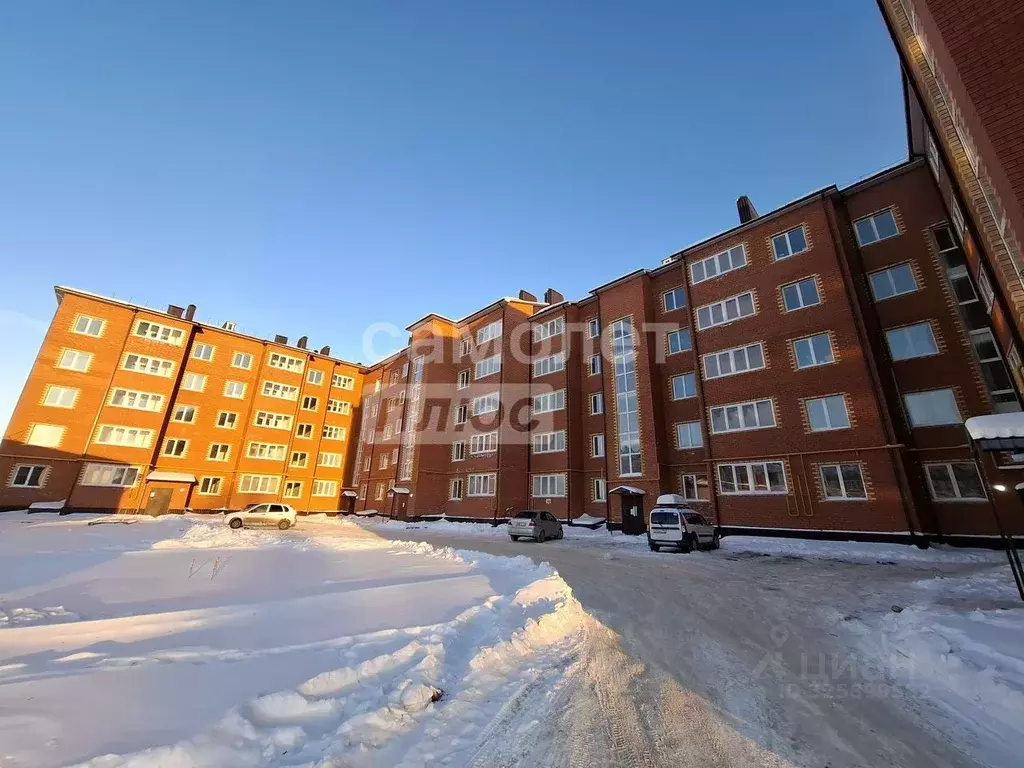 1-к кв. Оренбургская область, Бузулук ул. Челюскинцев, 73 (32.4 м) - Фото 1