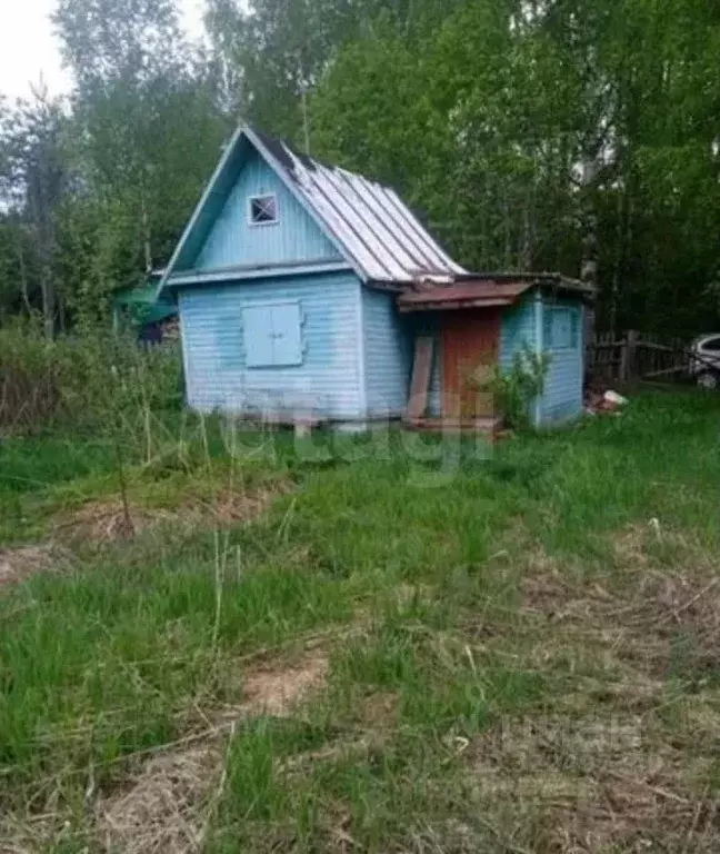 Участок в Вологодская область, д. Корюкино  (8.0 сот.) - Фото 1