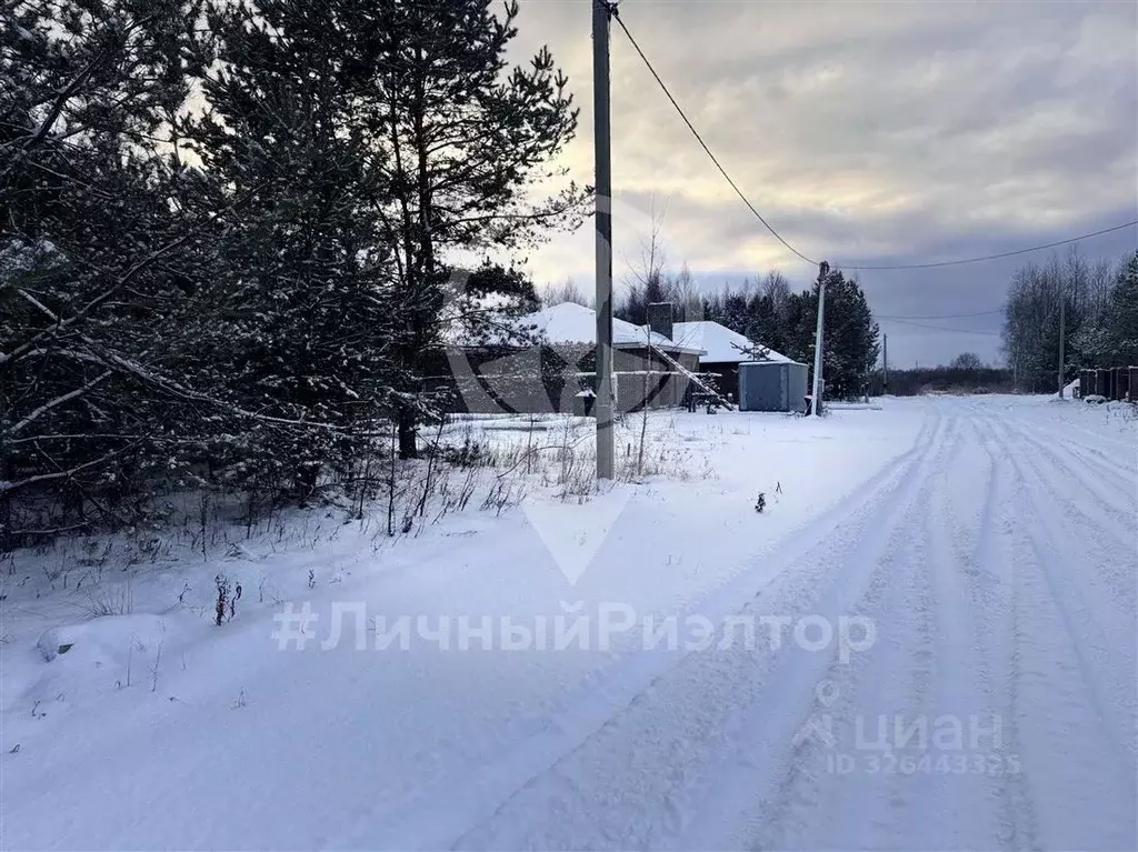 Участок в Рязанская область, Рязанский муниципальный округ, с. ... - Фото 2