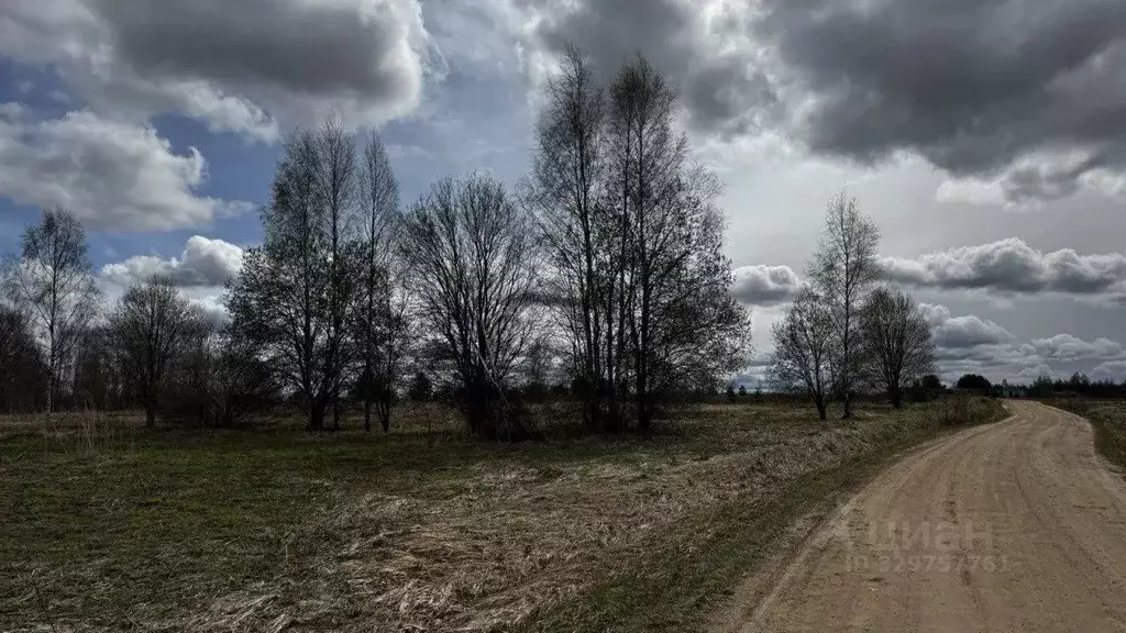 Участок в Тверская область, Калининский муниципальный округ, д. Кашино ... - Фото 2