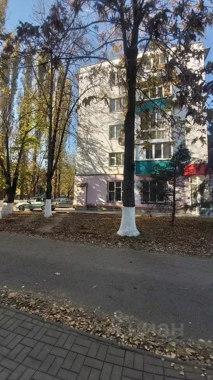 2-к кв. Краснодарский край, Кропоткин Кавказский район, Красная ул., ... - Фото 2