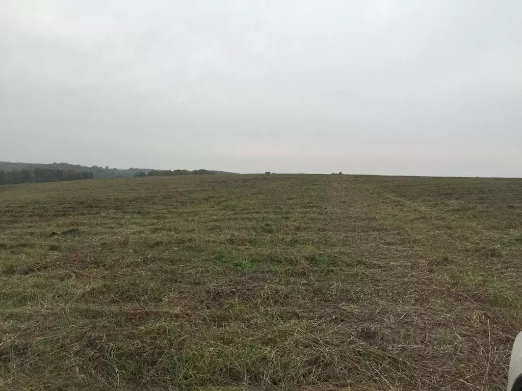 Участок в Кемеровская область, Новокузнецк Ильинское ш. (23.0 сот.) - Фото 2