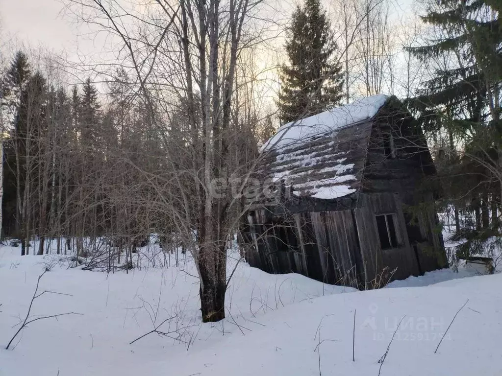 Участок в Карелия, Прионежский район, Деревянкское с/пос, Березка-2 ... - Фото 1