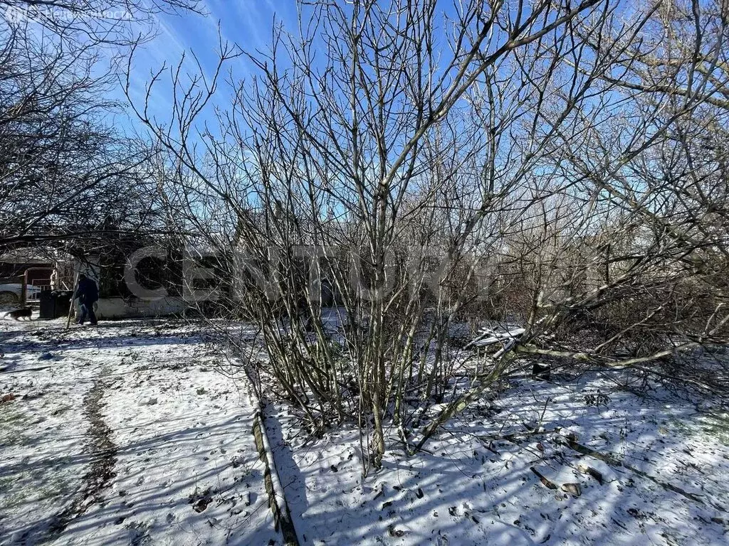 Участок в Севастополь, садоводческое некоммерческое товарищество ... - Фото 2