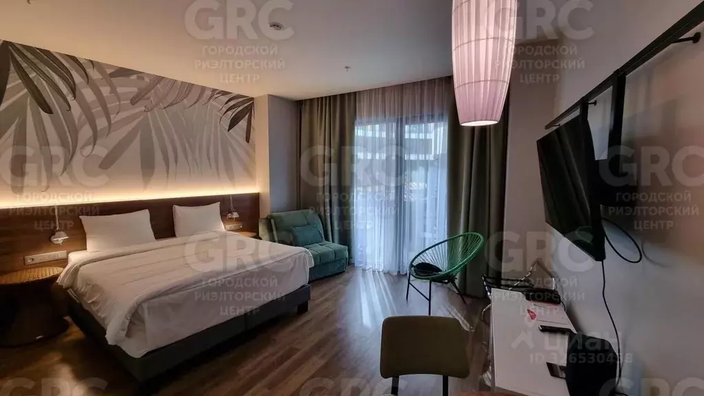 Студия Краснодарский край, Сочи городской округ, Дагомыс пгт ул. ... - Фото 0