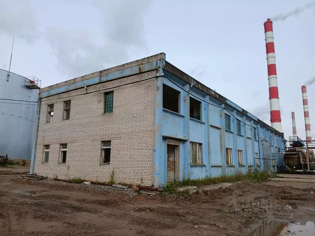 Производственное помещение в Ленинградская область, Кириши ш. ... - Фото 1