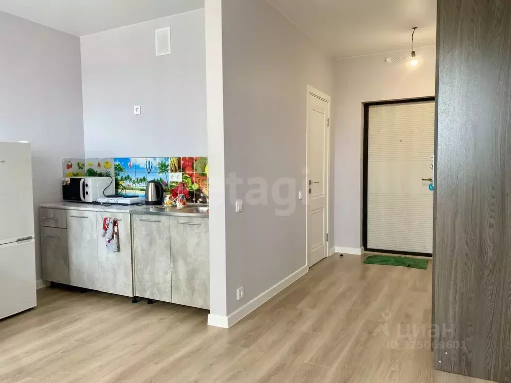 Студия Краснодарский край, Новороссийск ул. Куникова, 47Г (29.0 м) - Фото 1