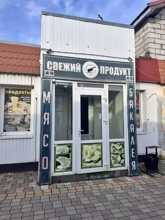 Торговая площадь в Калининградская область, Светлый ул. Лизы Чайкиной ... - Фото 2