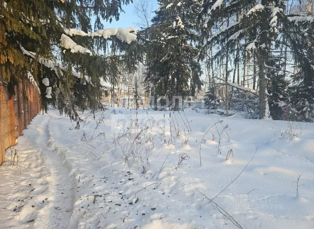 Участок в Московская область, Наро-Фоминский городской округ, д. ... - Фото 0