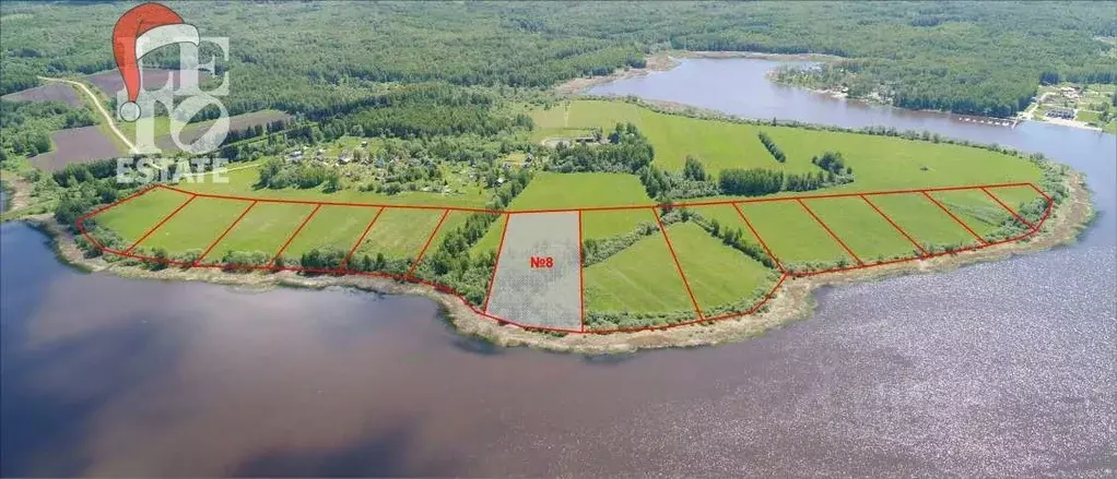 Участок в Ярославская область, Угличский муниципальный округ, д. ... - Фото 1