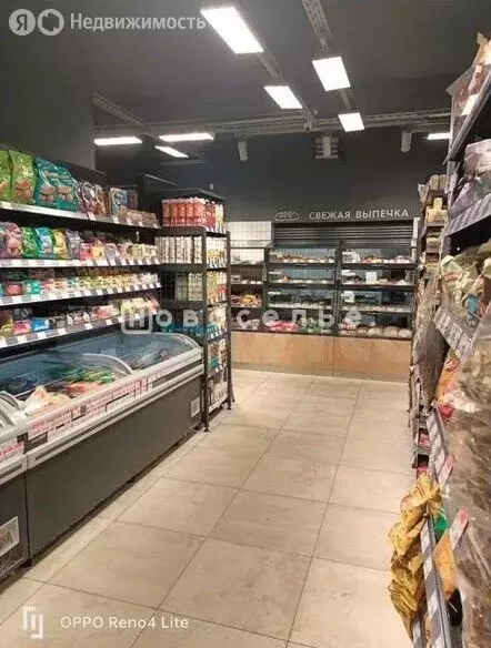 Помещение свободного назначения (315 м) - Фото 2