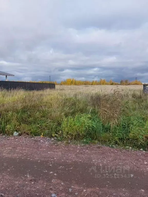 Участок в Ленинградская область, Ломоносовский район, Низинское с/пос, ... - Фото 1