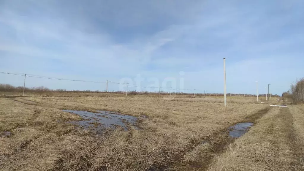 Участок в Тюменская область, Тюмень Большое Царево-3 ОНТ, ул. ... - Фото 2