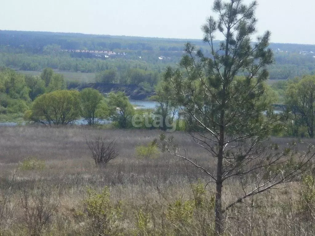 Купить Участок В Воронеже Рамонский Район