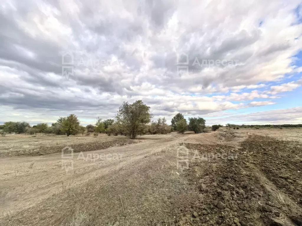 Участок в Волгоградская область, Среднеахтубинский район, Фрунзенское ... - Фото 1