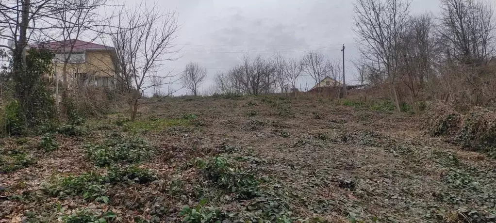 Участок в Краснодарский край, Сочи городской округ, с. Калиновое Озеро ... - Фото 1