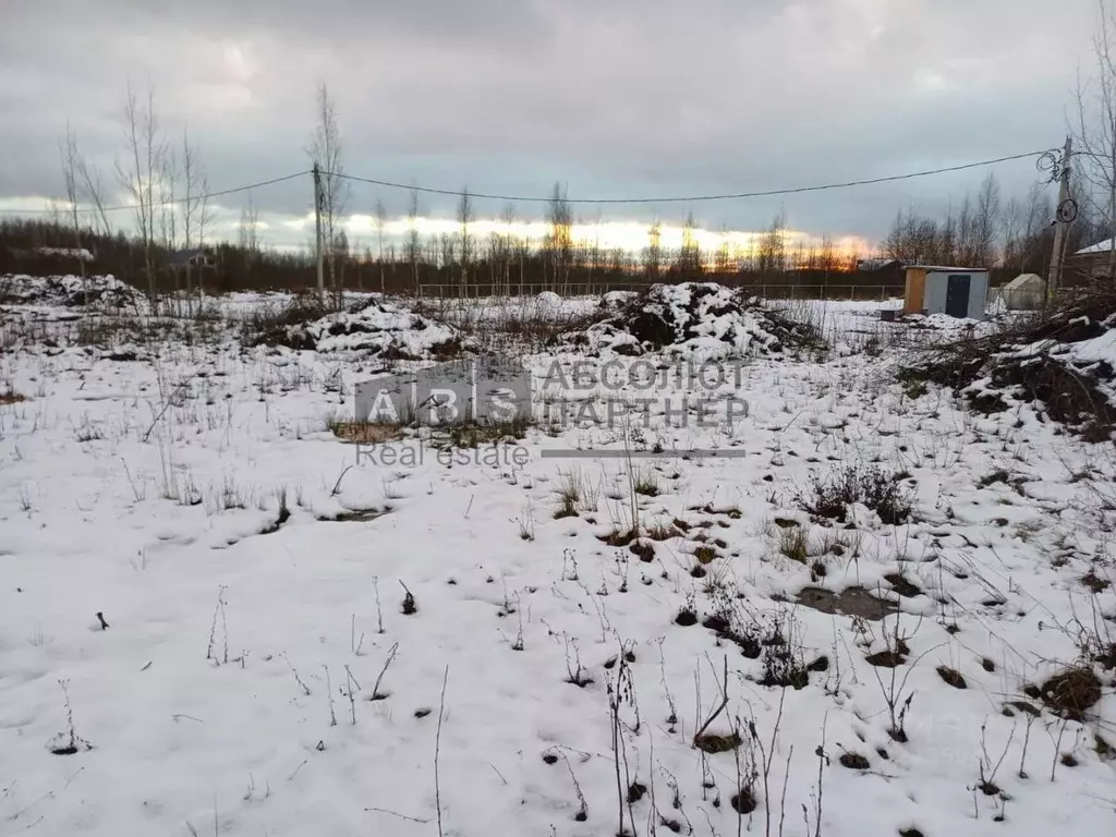 Участок в Новгородская область, Новгородский район, Савинское с/пос, ... - Фото 2