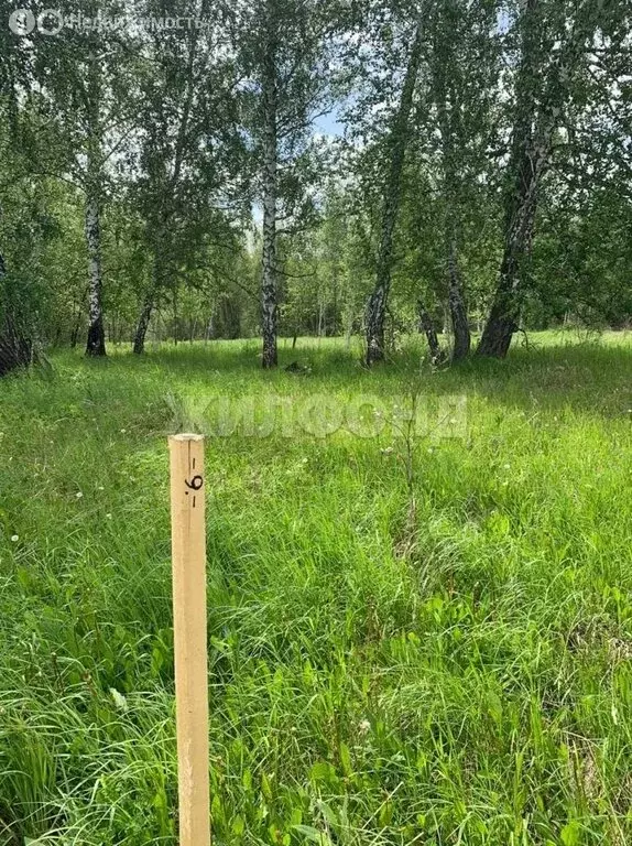 Участок в село Ленинское, улица 50 лет Октября (120.31 м) - Фото 2