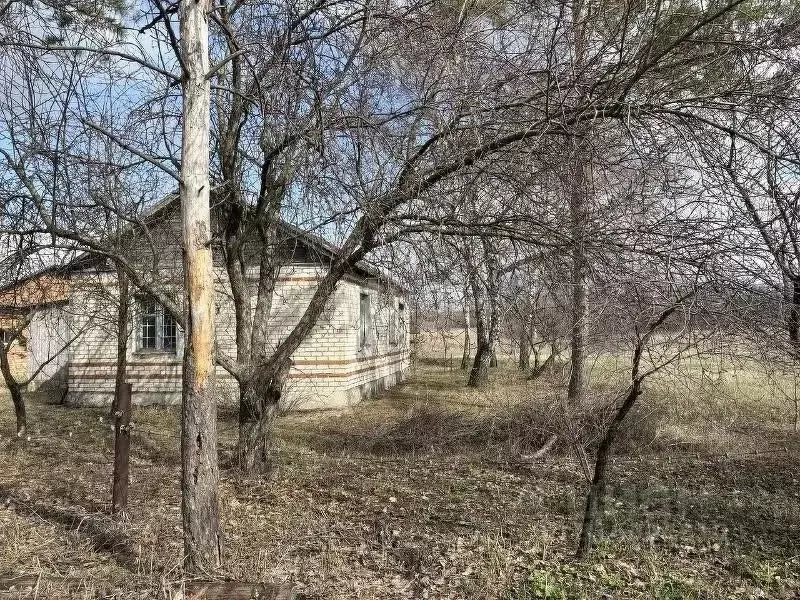 Дом в Белгородская область, Корочанский район, Бехтеевское с/пос, ... - Фото 0