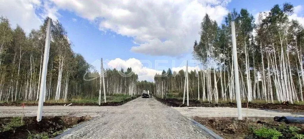 Участок в Тюменская область, Тюменский район, Новотарманское ... - Фото 2