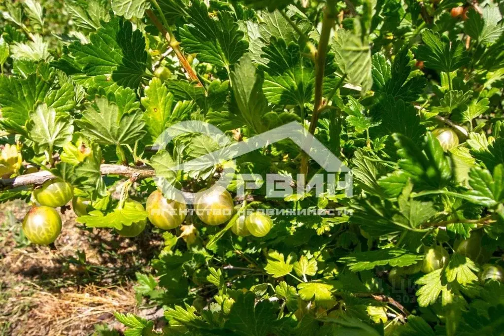 Дом в Калининградская область, Багратионовский муниципальный округ, ... - Фото 2