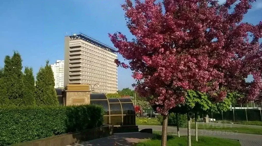 Комната Москва Мичуринский просп., 8С1 (10.0 м) - Фото 1