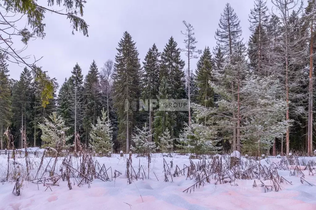 Участок в Московская область, Одинцовский городской округ, д. Лапино, ... - Фото 1