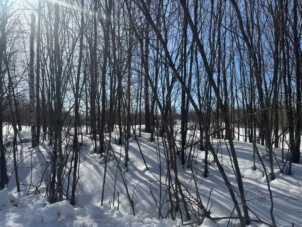Участок в Московская область, Солнечногорск городской округ, д. Мостки ... - Фото 0