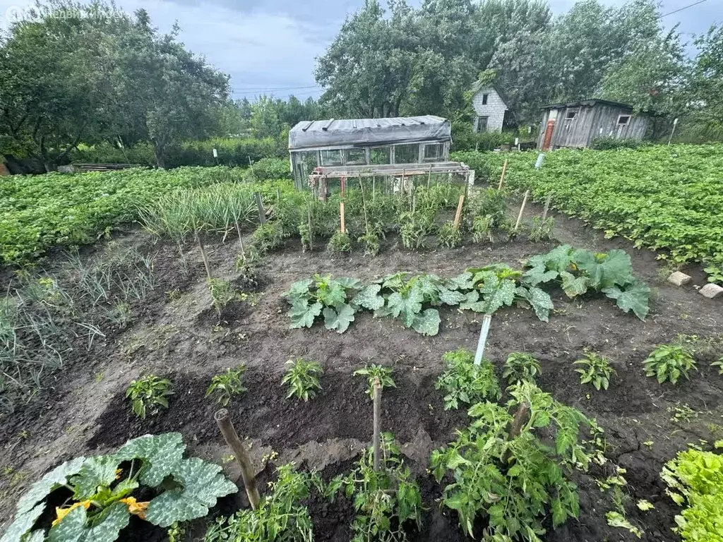 Участок в Добрунь, садово-дачное товарищество Радуга-2 (6 м) - Фото 0