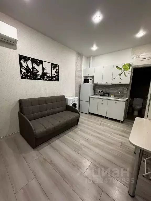 Студия Краснодарский край, Сочи Бакинская ул., 16/1 (20.0 м) - Фото 2