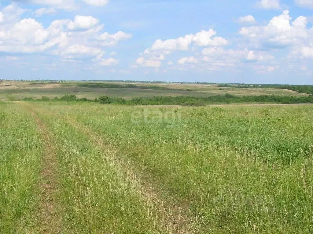 Участок в Тамбовская область, Мичуринский муниципальный округ, пос. ... - Фото 1