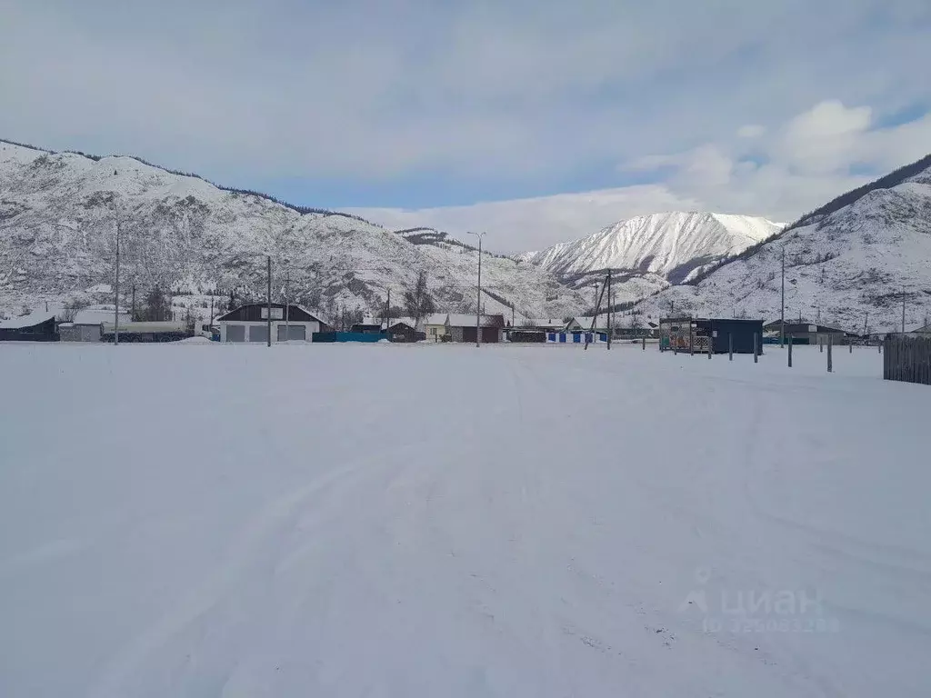 Участок в Алтай, Улаганский район, с. Акташ ул. Академика Кузнецова, ... - Фото 2