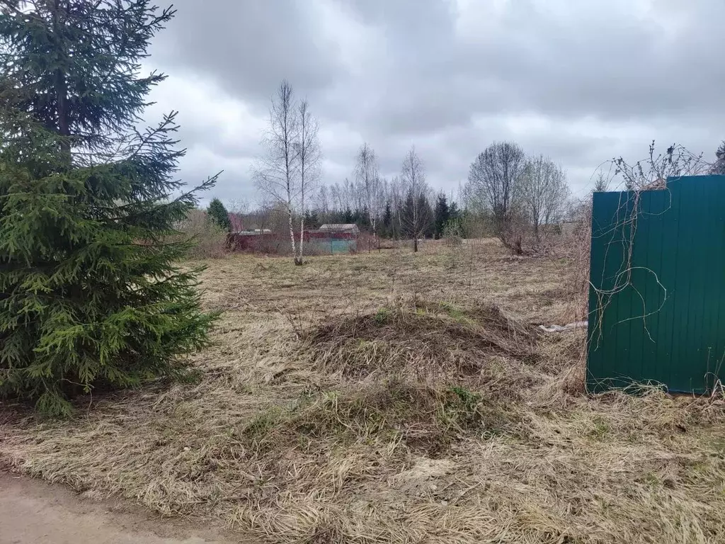 Участок в Московская область, Рузский муниципальный округ, д. ... - Фото 2