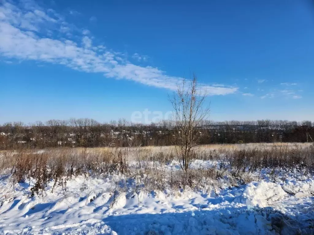 Участок в Белгородская область, Белгородский район, Никольское с/пос, ... - Фото 1