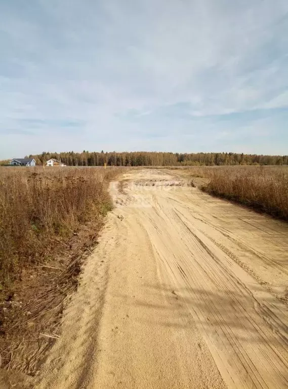 Участок в Владимирская область, Киржачский район, Кипревское ... - Фото 1