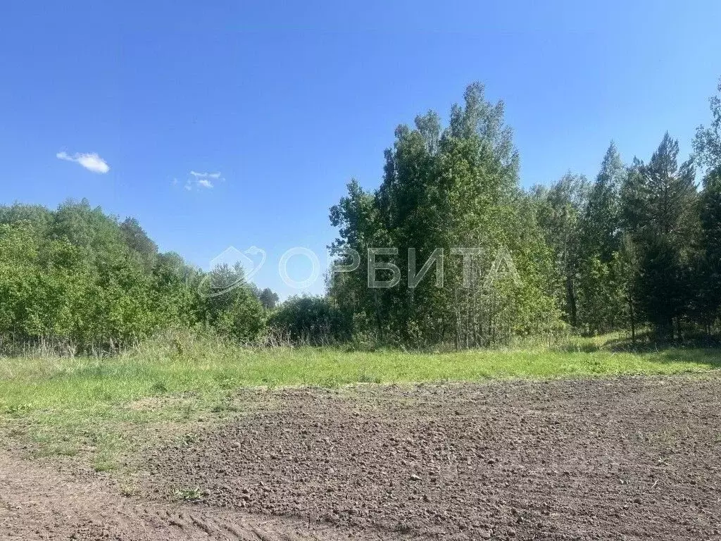Участок в Тюменская область, Тюменский муниципальный округ, с. Кулига, ... - Фото 1