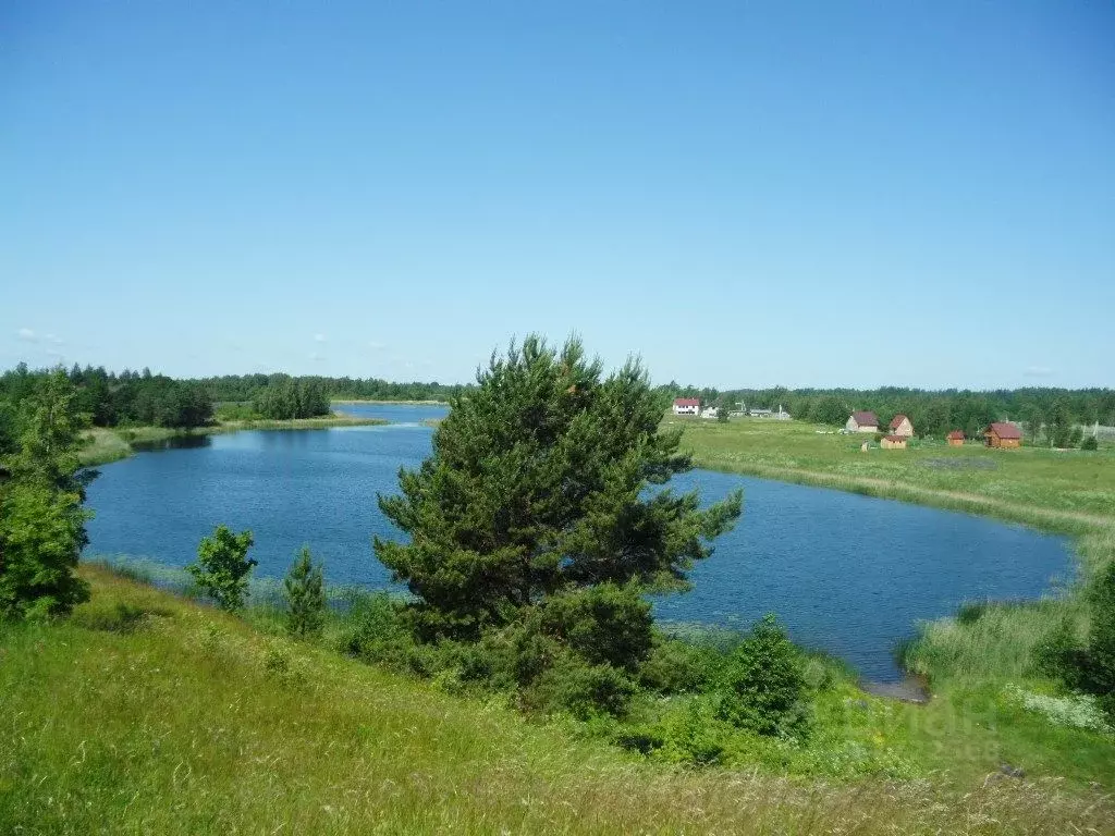 Участок в Псковская область, Гдовский район, д. Речицы Малые  (20.0 ... - Фото 0